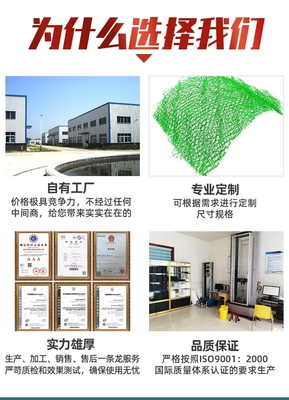 市政工程邊坡防護用三維植被網(wǎng)-EM5